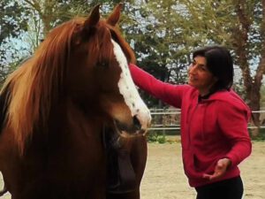 Serena Guerra - A cavallo verso nessuno